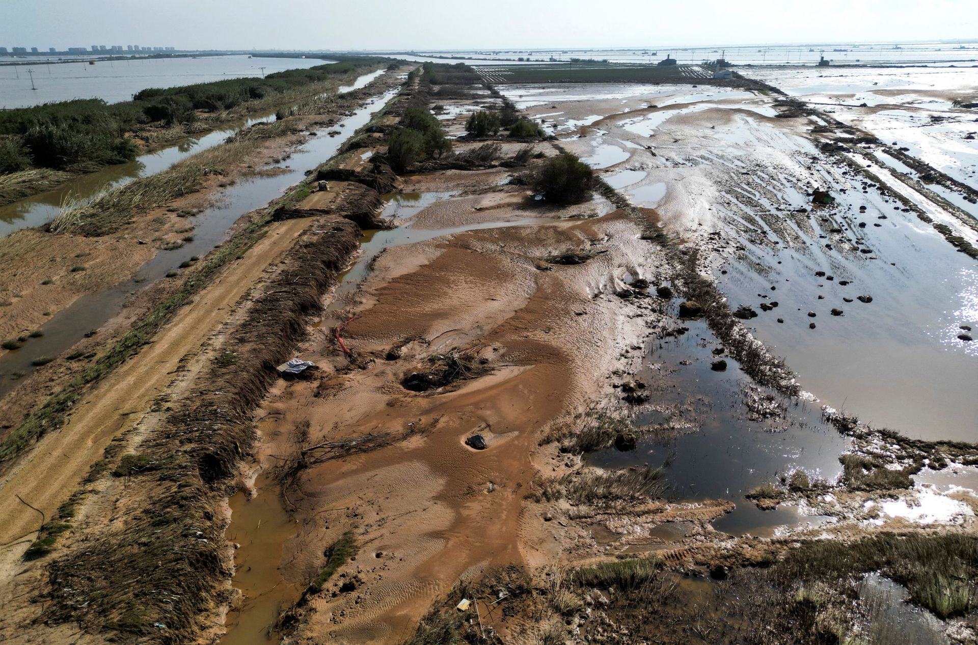 La desoladora imagen de la Albufera tras la DANA