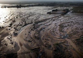 La desoladora imagen de la Albufera tras la DANA