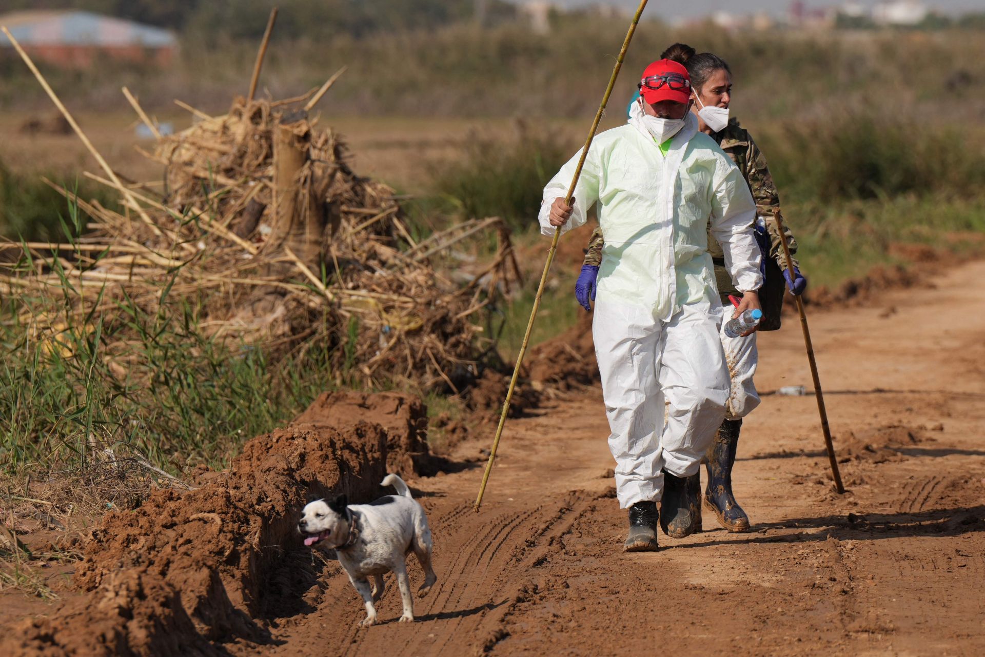 La desoladora imagen de la Albufera tras la DANA