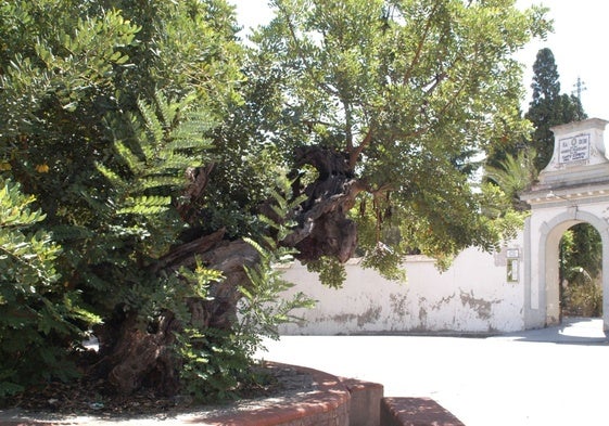 Entrada al Monastero del Santo Espíritu de Gilet.