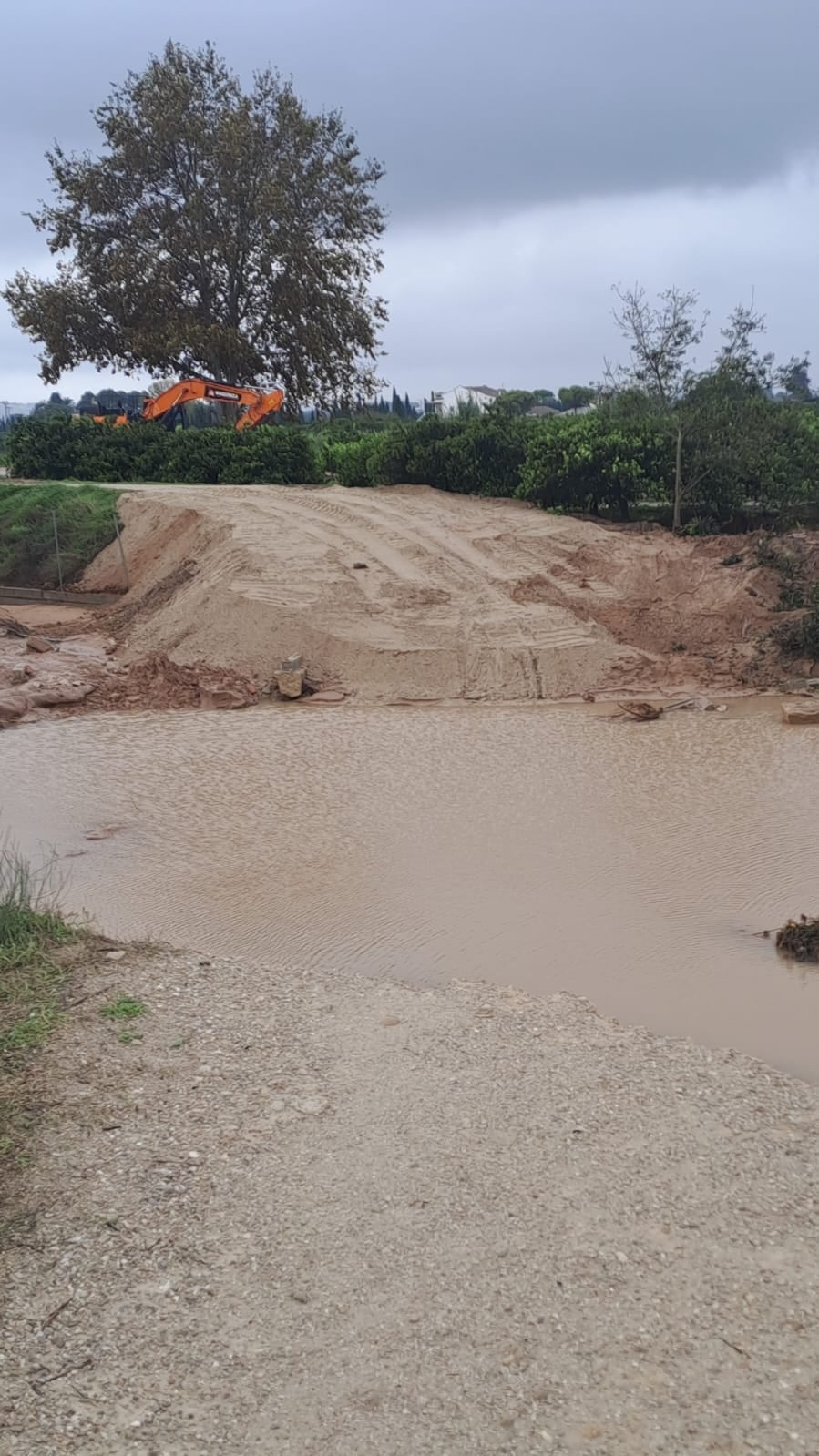 Trabajos en la mota de Riola.