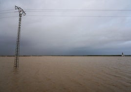 Inundación de la Albufera por la segunda DANA este jueves.