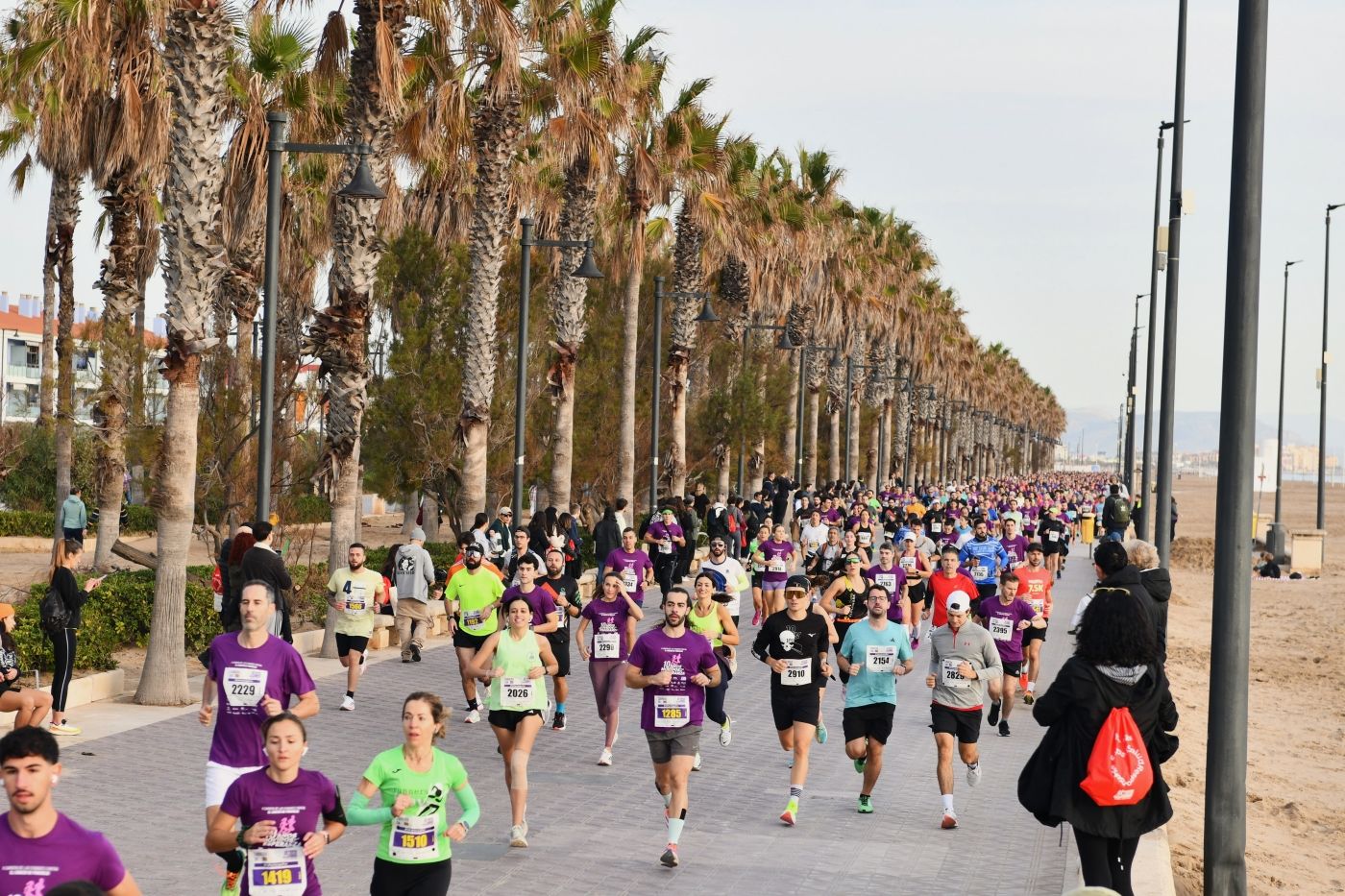 Búscate en la carrera contra el cáncer de pancreas 2024 de Valencia