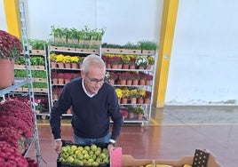 El concejal de Mercados y Comercio, Santiago Ballester, en MercaValencia.