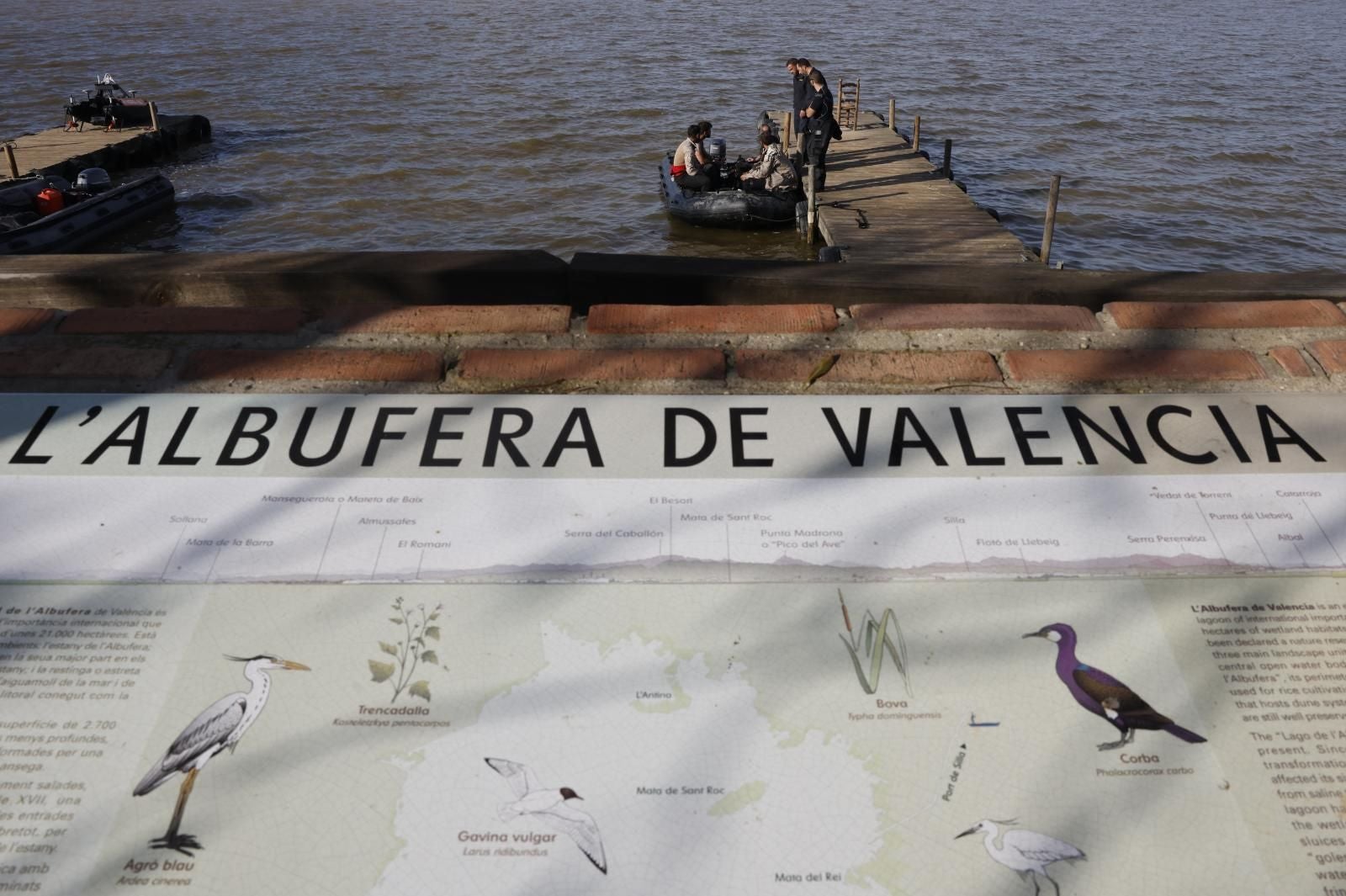 Así está la Albufera de Valencia tras el paso de la DANA