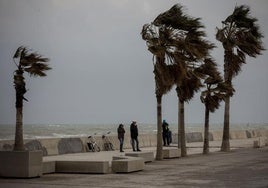 En el litoral sur de Valencia, las rachas máximas serán de 60 km/h.