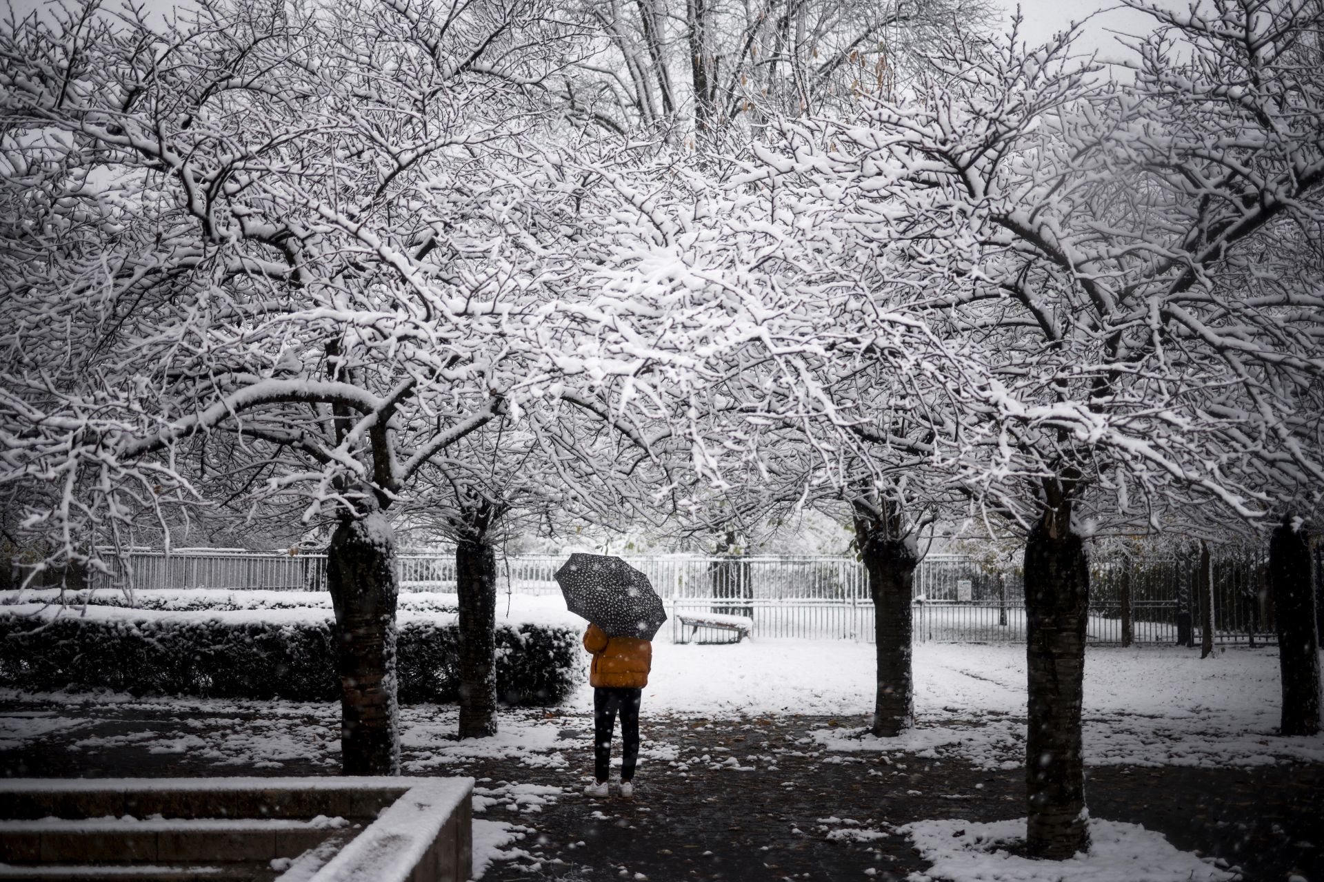 La nieve hace más bonita París: así está Notre Dame bajo un manto blanco