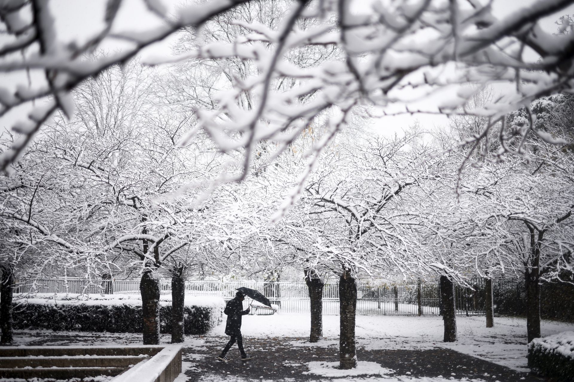 La nieve hace más bonita París: así está Notre Dame bajo un manto blanco