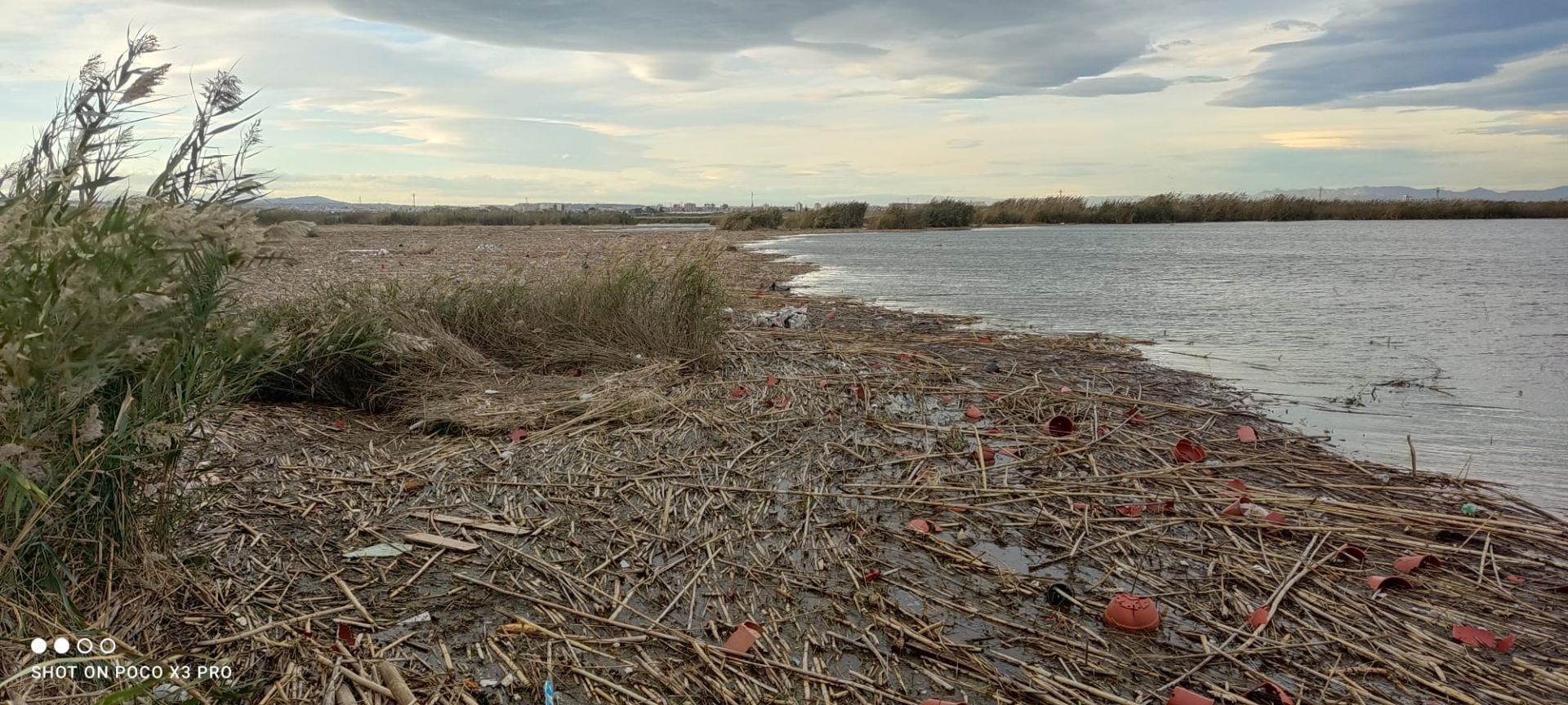 Residuos arrastrados por la DANA en la Albufera