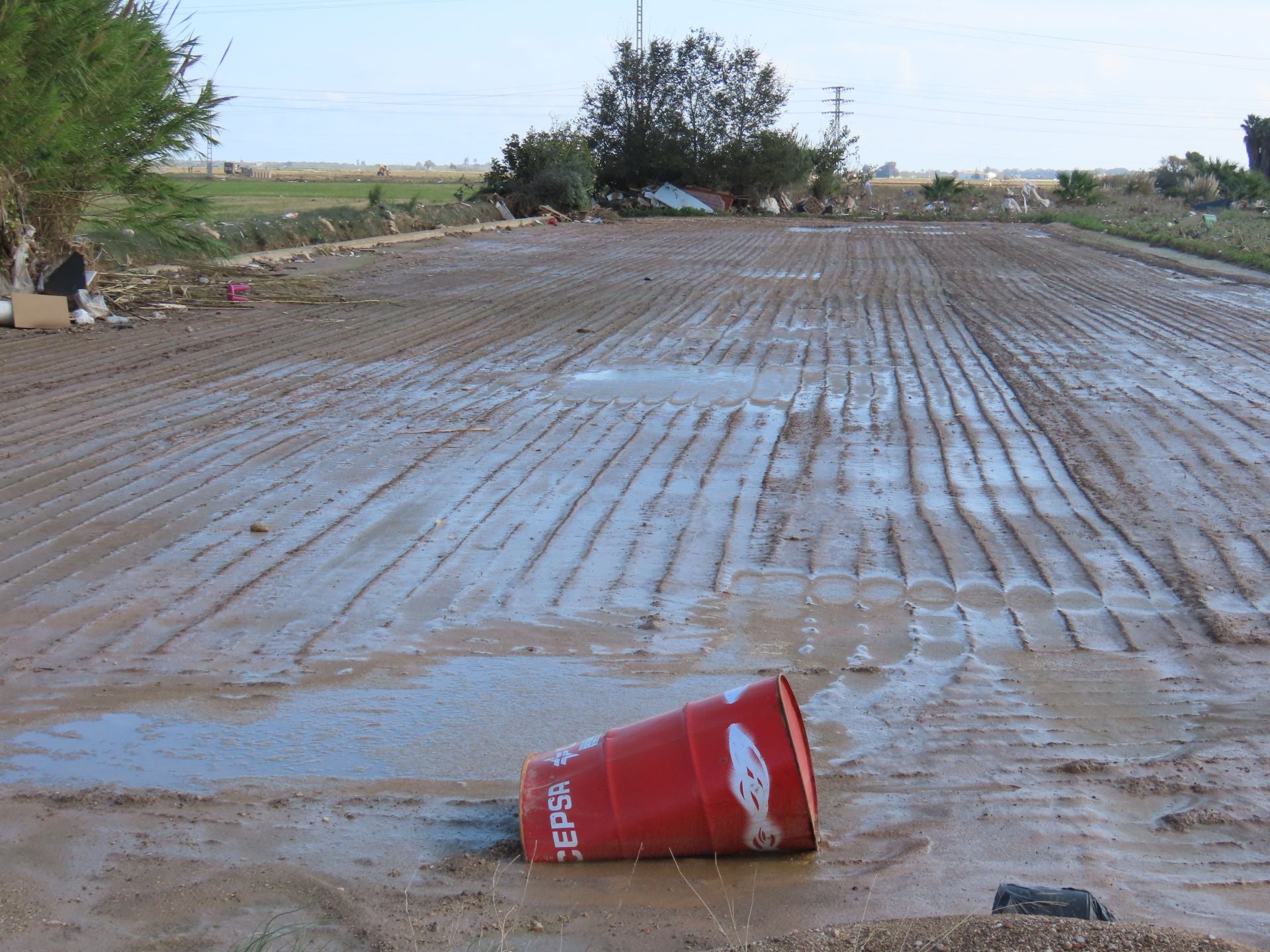 Residuos arrastrados por la DANA en la Albufera