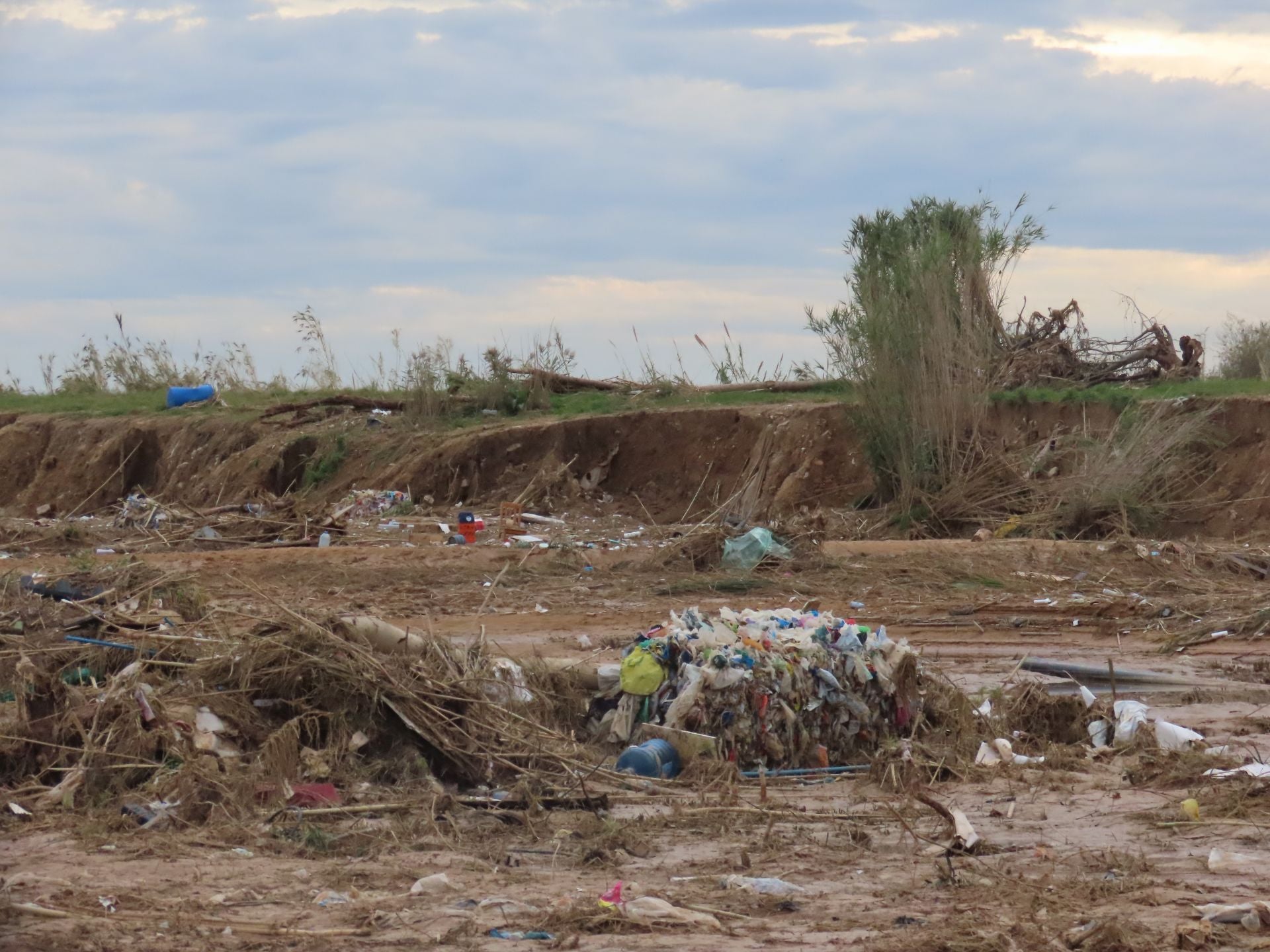 Residuos arrastrados por la DANA en la Albufera