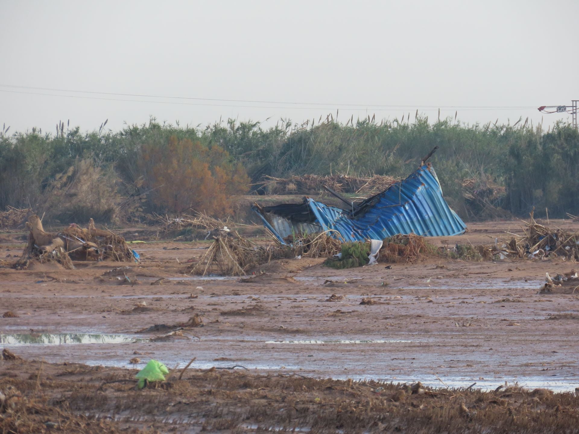 Residuos arrastrados por la DANA en la Albufera