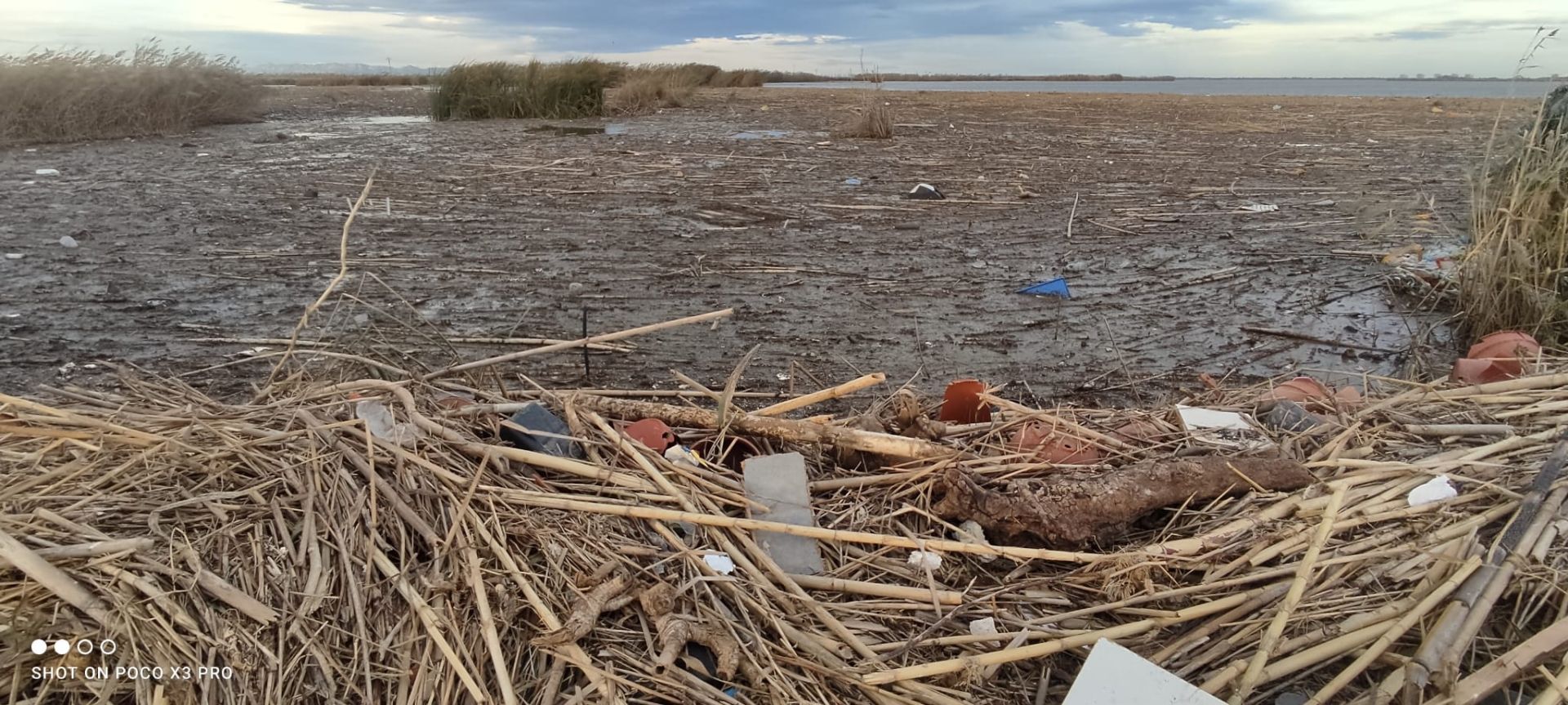 Residuos arrastrados por la DANA en la Albufera