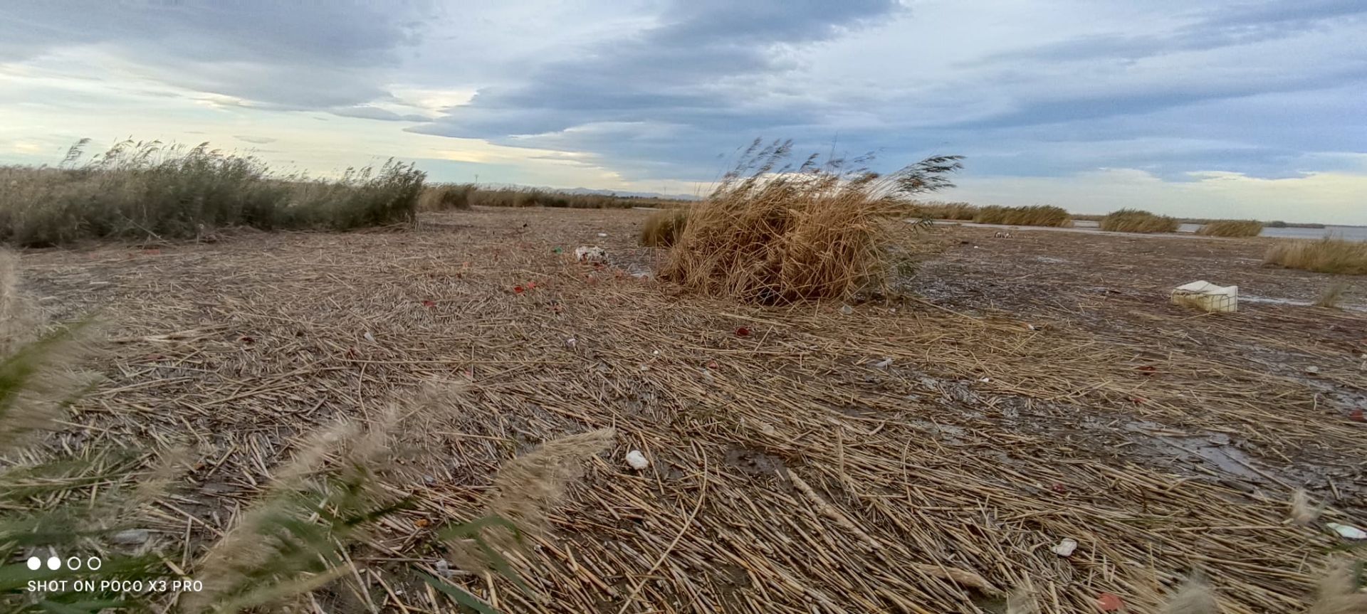 Residuos arrastrados por la DANA en la Albufera