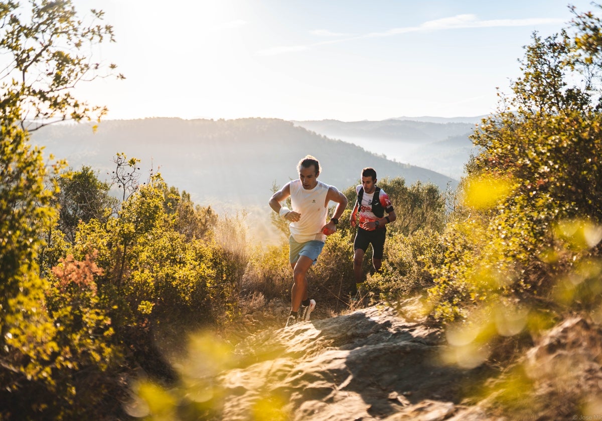 Corredores participan en una edición anterior del Penyagolosa Trails, en la provincia de Castellón.