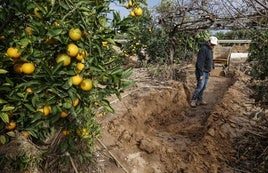 Efectos de la DANA en un campo valenciano