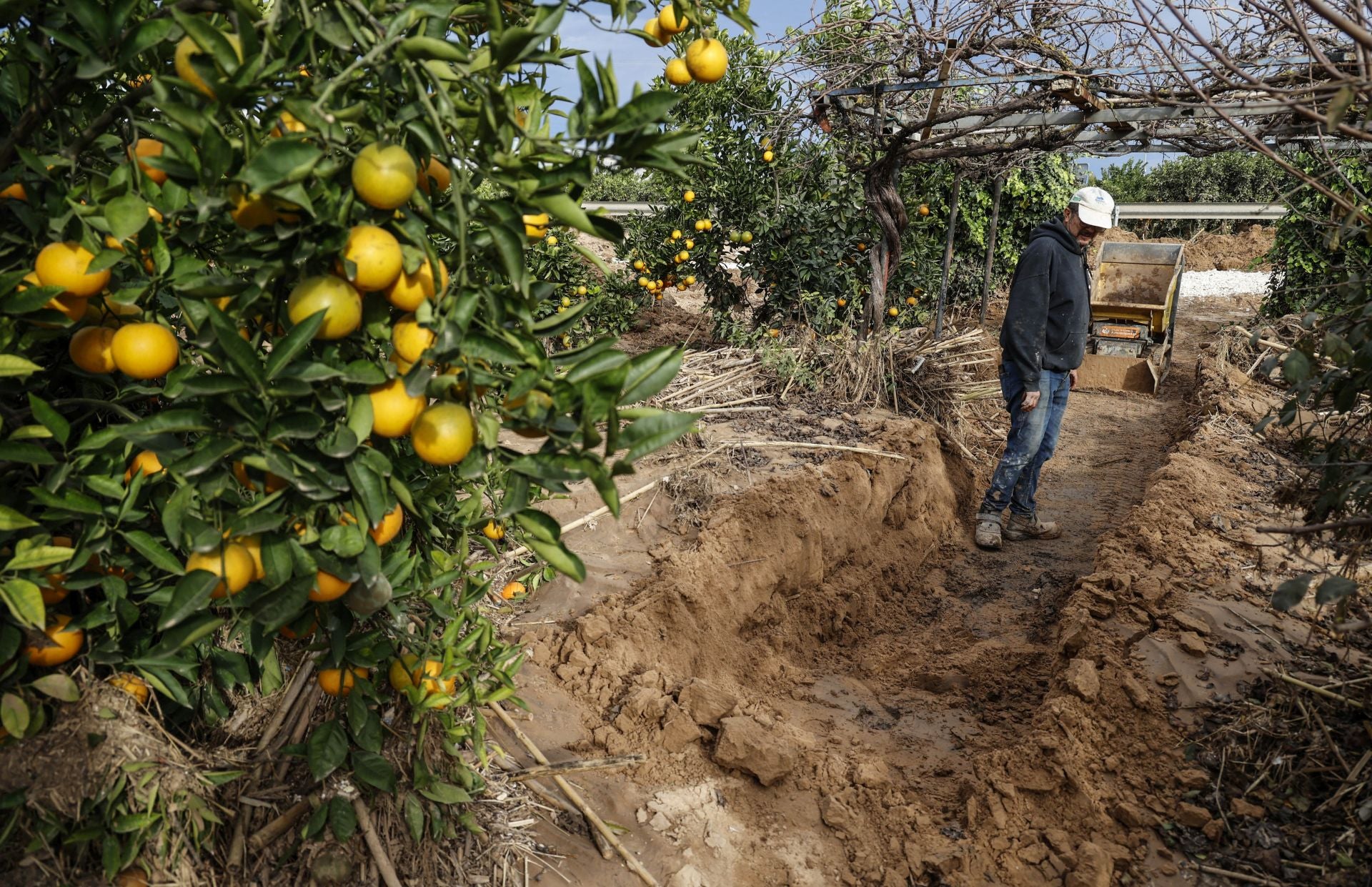 Efectos de la DANA en un campo valenciano