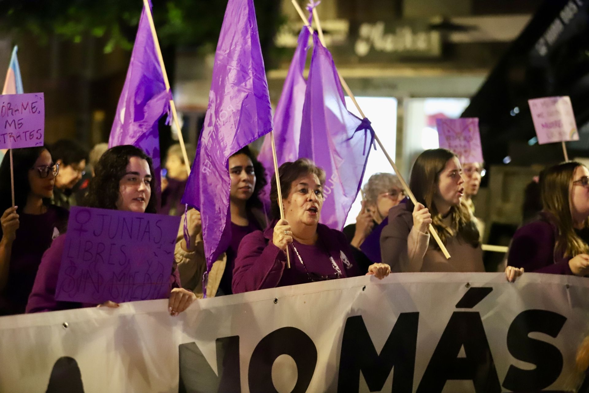 Las imágenes de la manifestación por el 25-N en Valencia