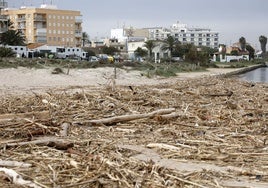 Estado de la playa del Perellonet.