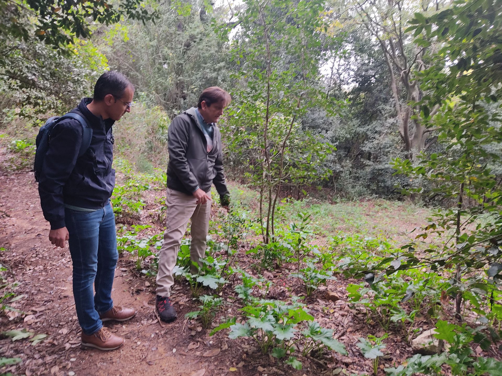 Imagen secundaria 2 - Alzira ampliará la superficie del paraje Murta-Casella para conectar ambos espacios naturales