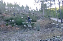 Trabajos forestales en los montes de Vallada.