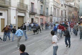 Bou en Corda de las Fietas de la Purísima.