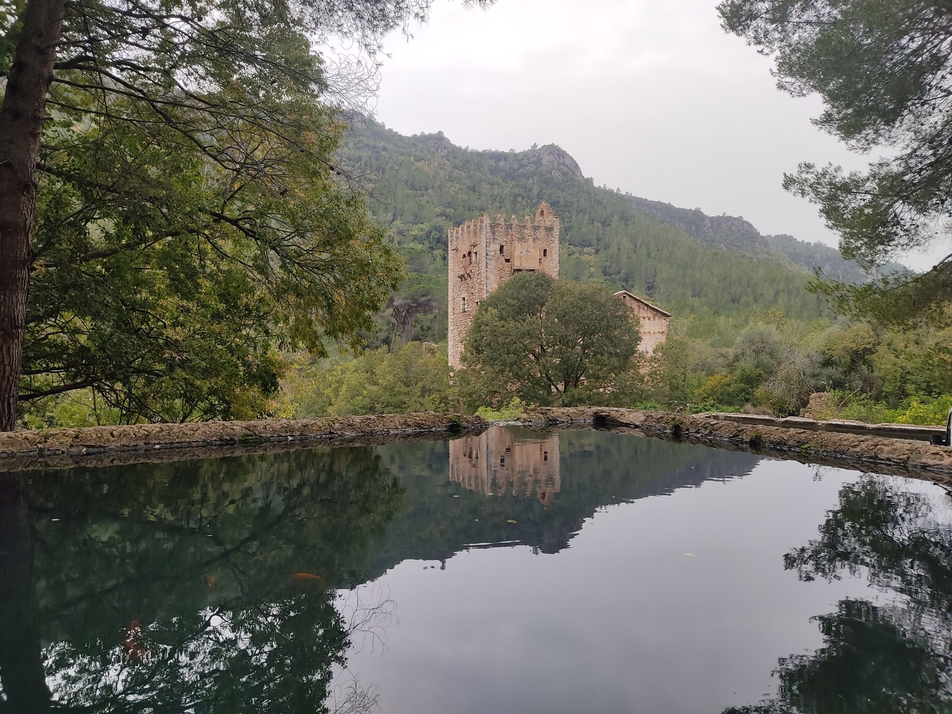 Paraje de la Murta en Alzira.