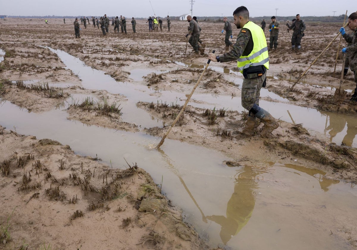 Efectivos del Ejército de Tierra buscan desaparecidos.