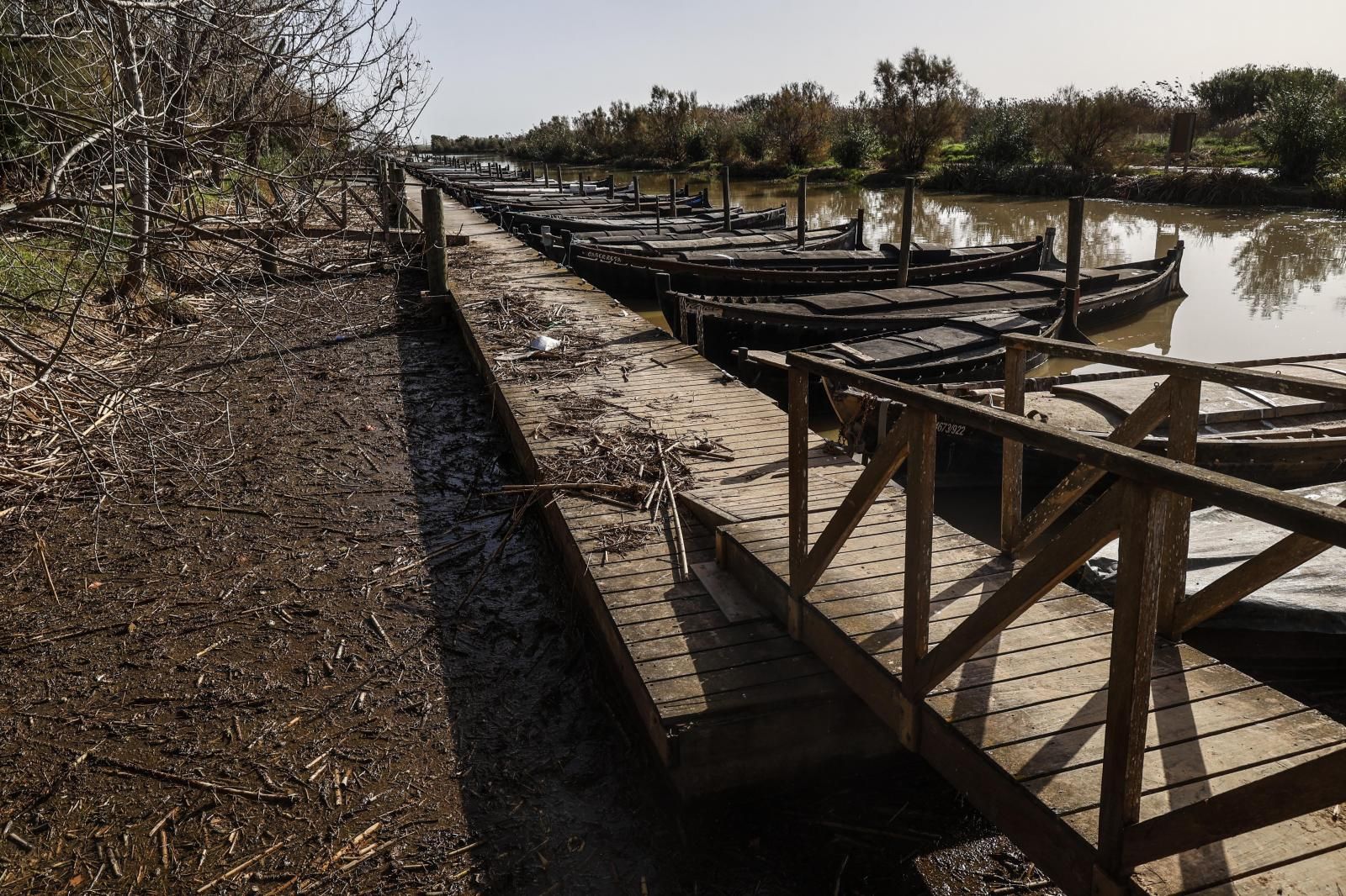 Así está la Albufera de Valencia un mes después de la DANA