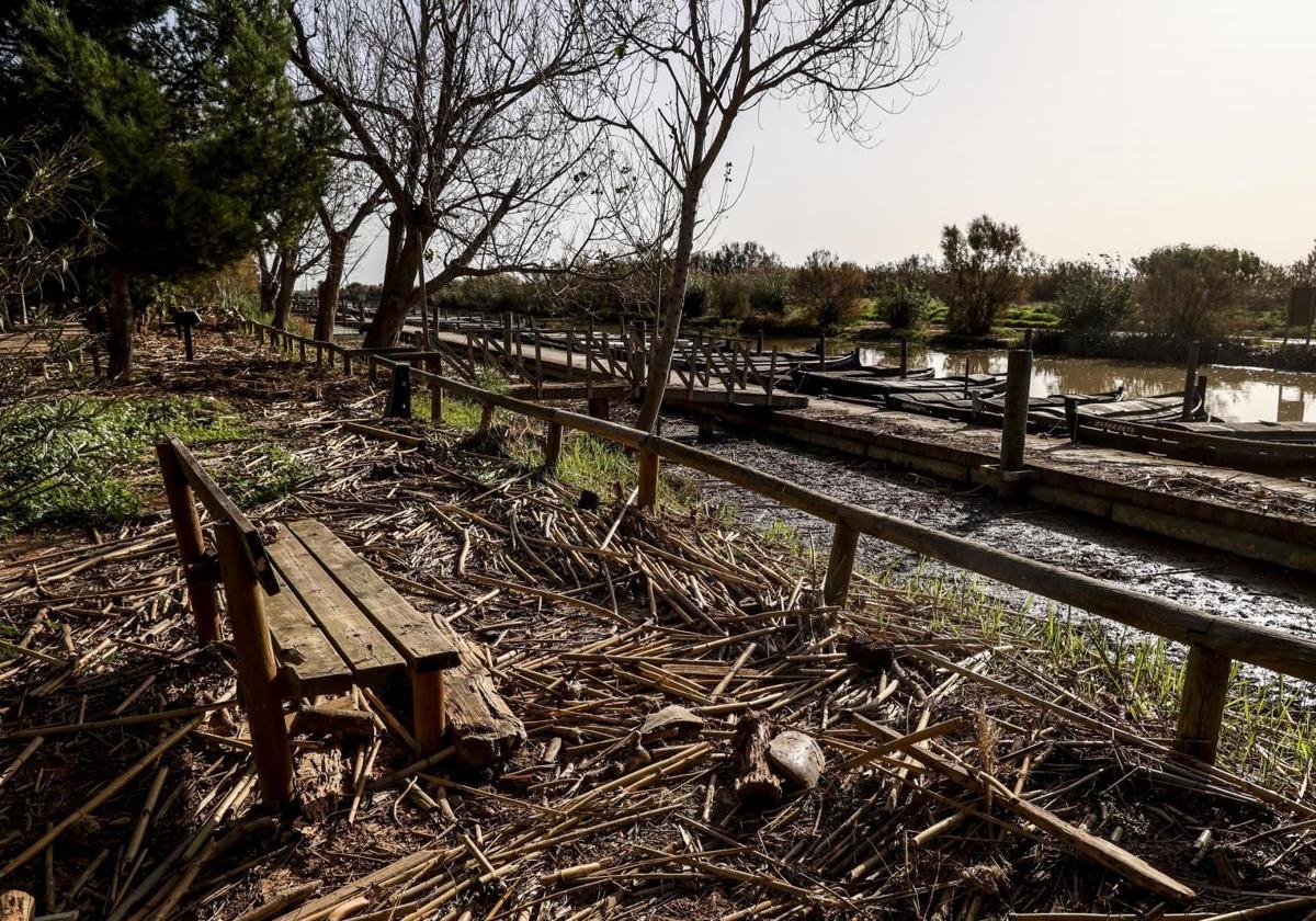 Así está la Albufera de Valencia un mes después de la DANA