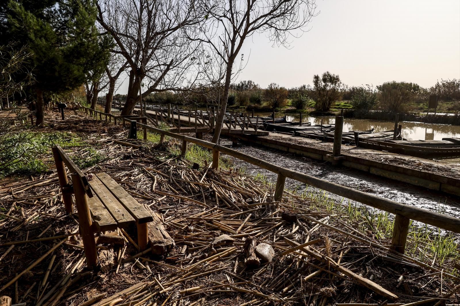 Así está la Albufera de Valencia un mes después de la DANA