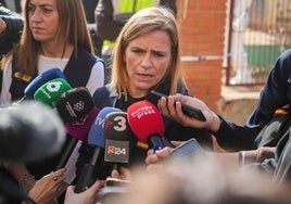 La delegada del Gobierno en la Comunidad Valenciana, Pilar Bernabé, atiende a los medios en Massanassa (Valencia) tras el derrumbe de un colegio.