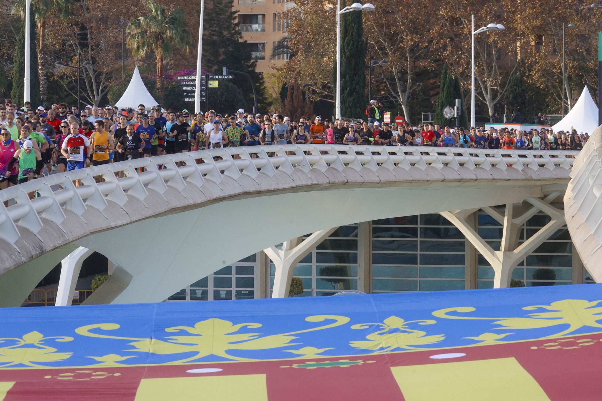 Las mejores imágenes del Maratón de Valencia 2024