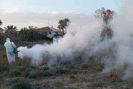 Labores de prevención contra los mosquitos.