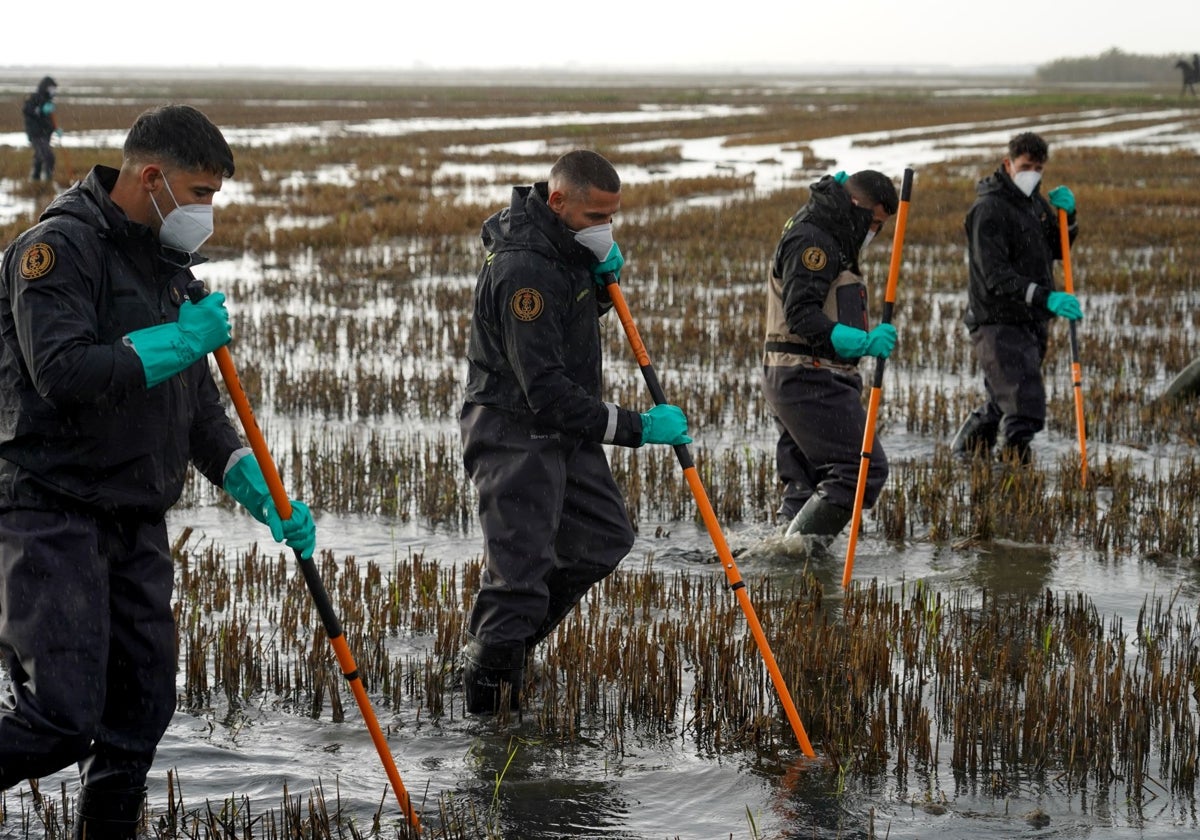 Trabajos de rastreo en busca de víctimas de la DANA en aguas de l'Albufera, en Valencia.