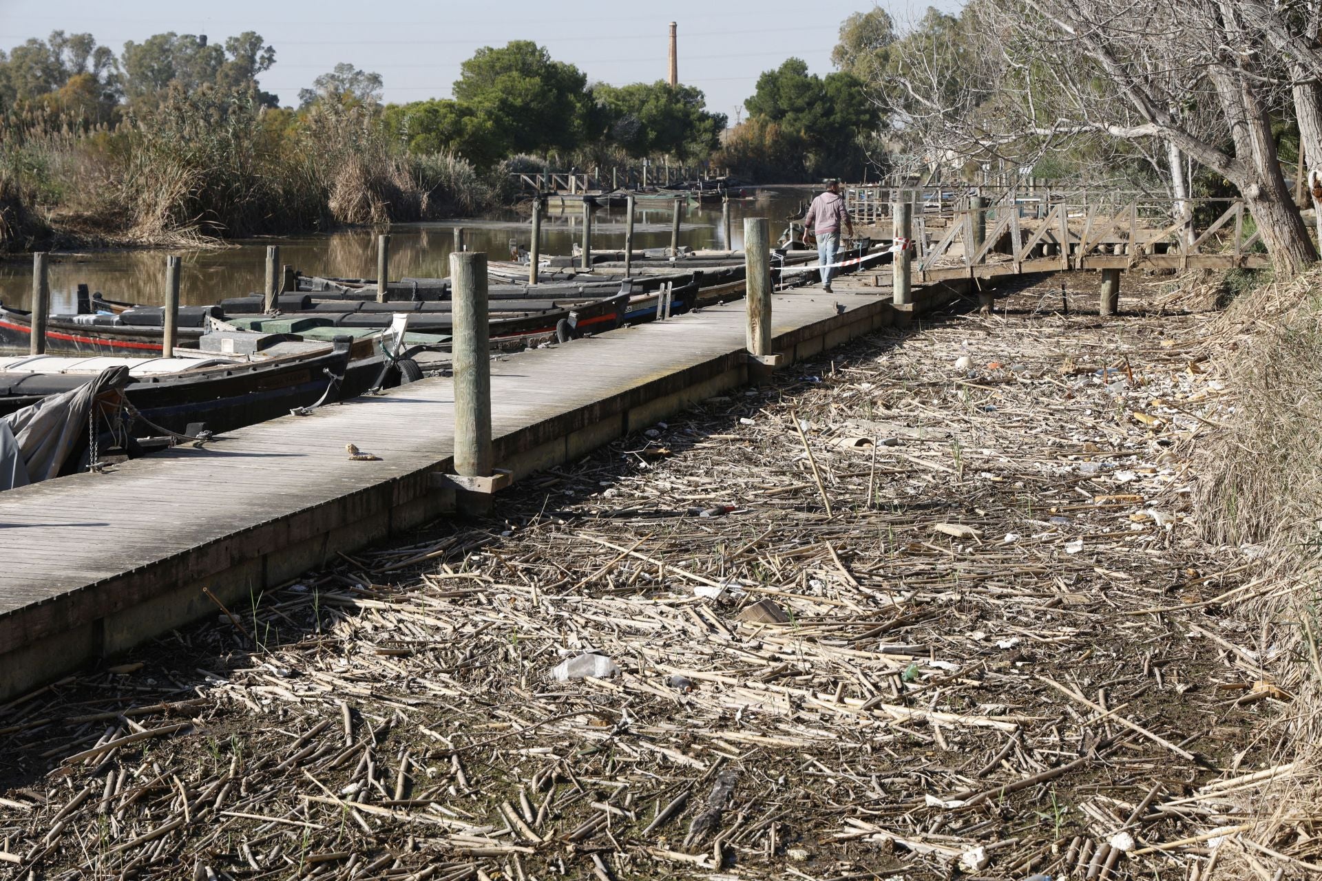 Así sigue la Albufera más de un mes después de la DANA