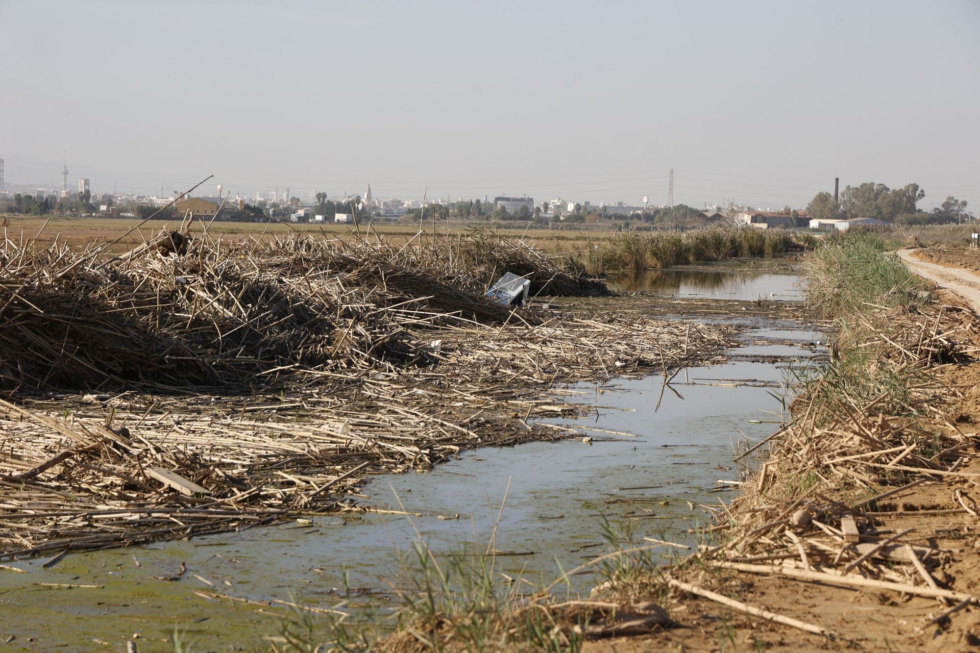 Así sigue la Albufera más de un mes después de la DANA