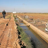 La Albufera ante el ingente reto de renacer tras la devastación