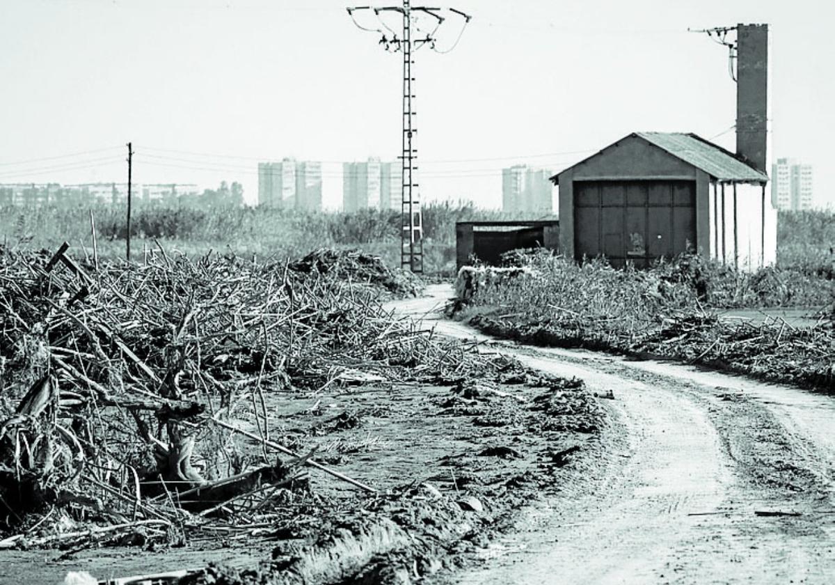 «Salvar la Albufera es un acto de deber», dice Valero de Palma.