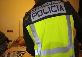 Un policía durante uno de los registros.