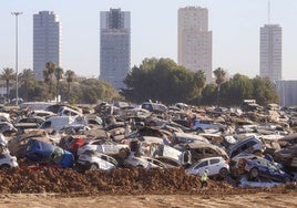 Cementerio de coches destrozados por la dana.