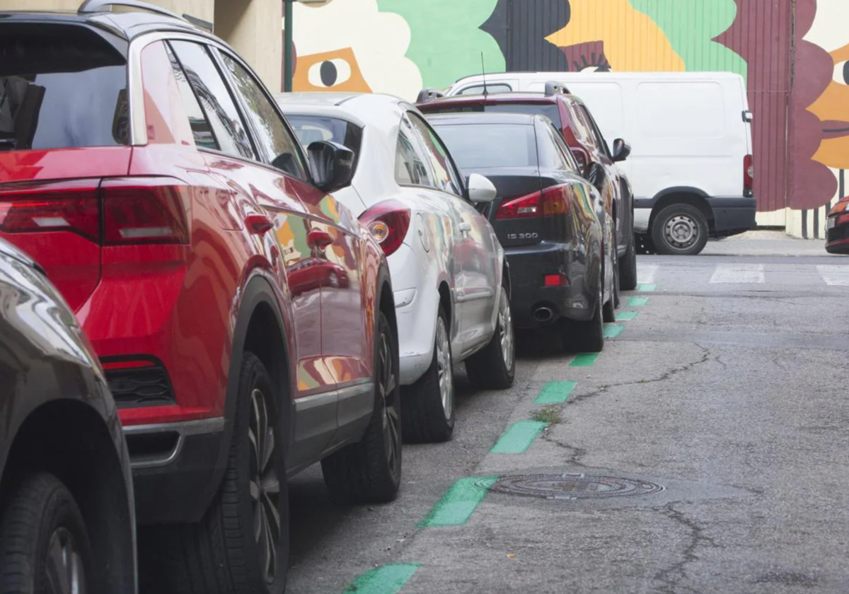 Zona verde en el barrio del Botánico.