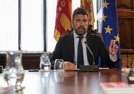 Mazón, en el Pleno donde se aprobó la interposición del recurso.