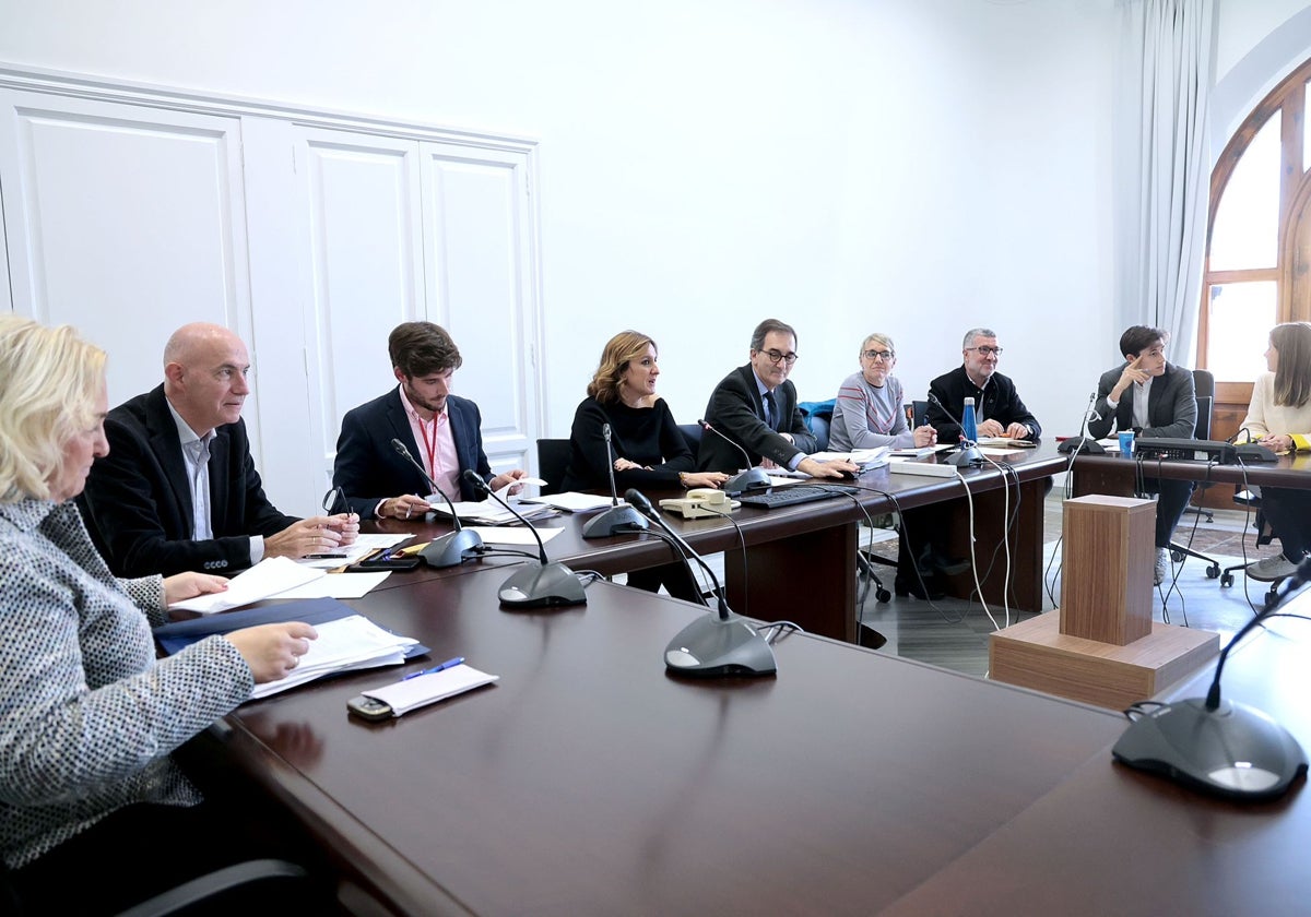 Reunión de la comisión de investigación, este miércoles.