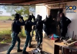 Policía Nacional y Guardia Civil han realizado la operación conjunta.