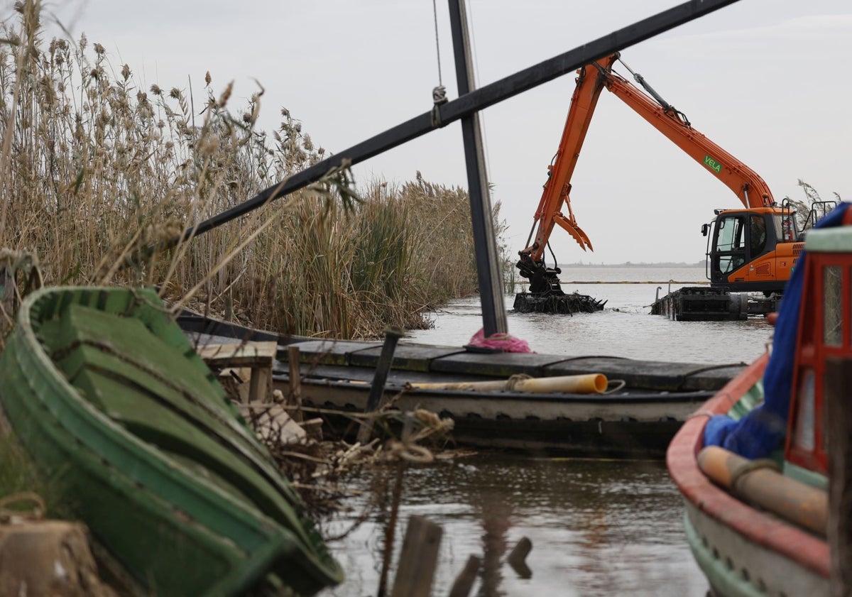 Imagen principal - Visita del edil de Devesa-Albufera, José Gozálbez, a los trabajos de retirada de residuos en la Albufera.