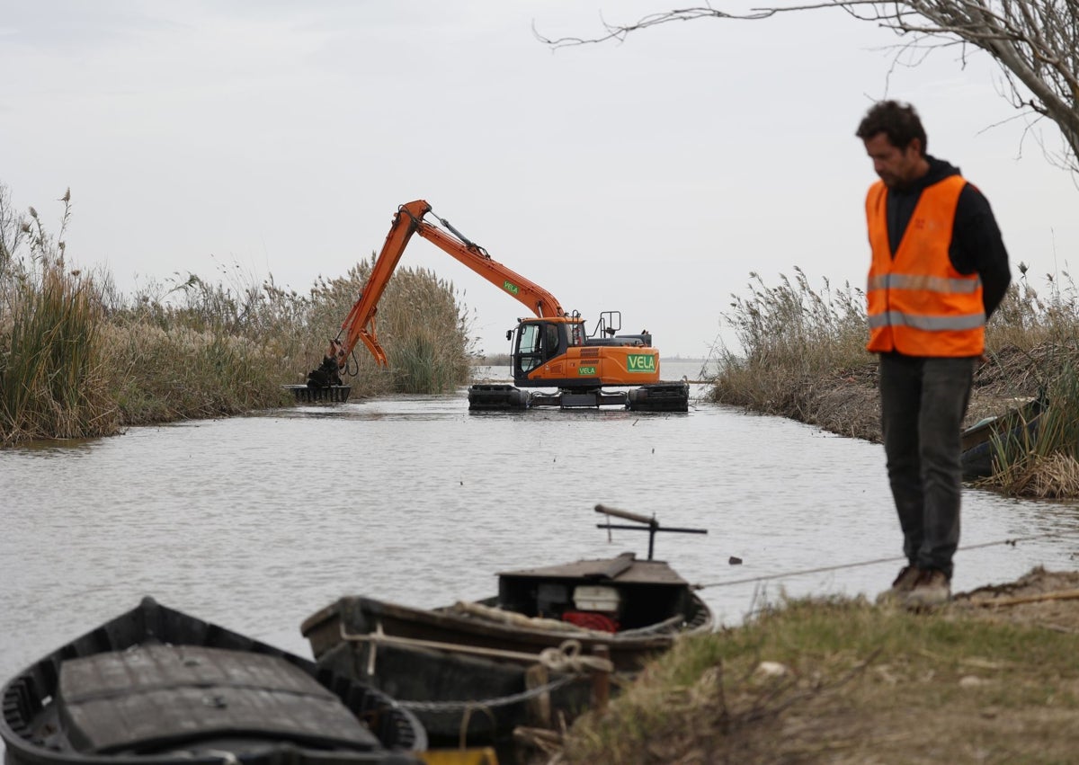 Imagen secundaria 1 - Visita del edil de Devesa-Albufera, José Gozálbez, a los trabajos de retirada de residuos en la Albufera.