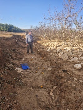 Enrique Grau, en uno de sus campos destrozados.