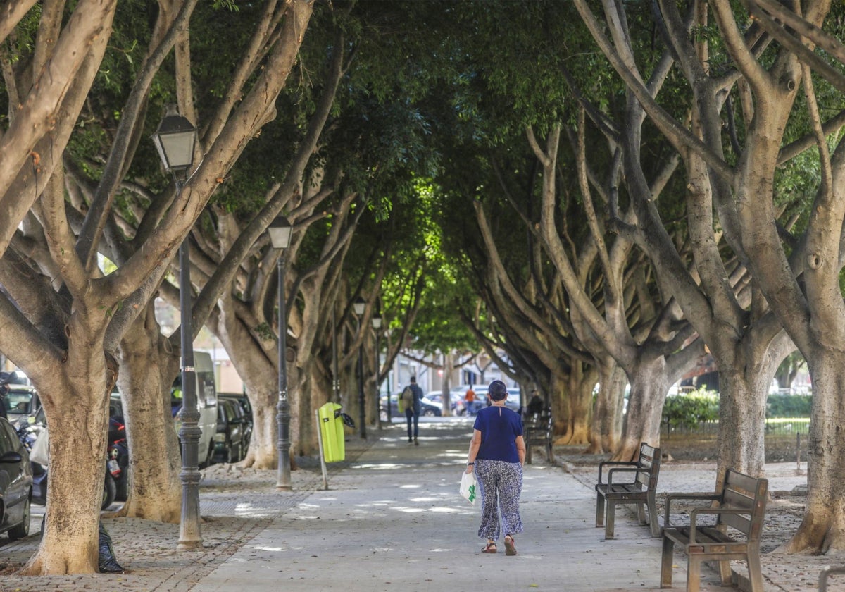 Jardín de la plaza Enrique Granados, en el barrio de Patraix.