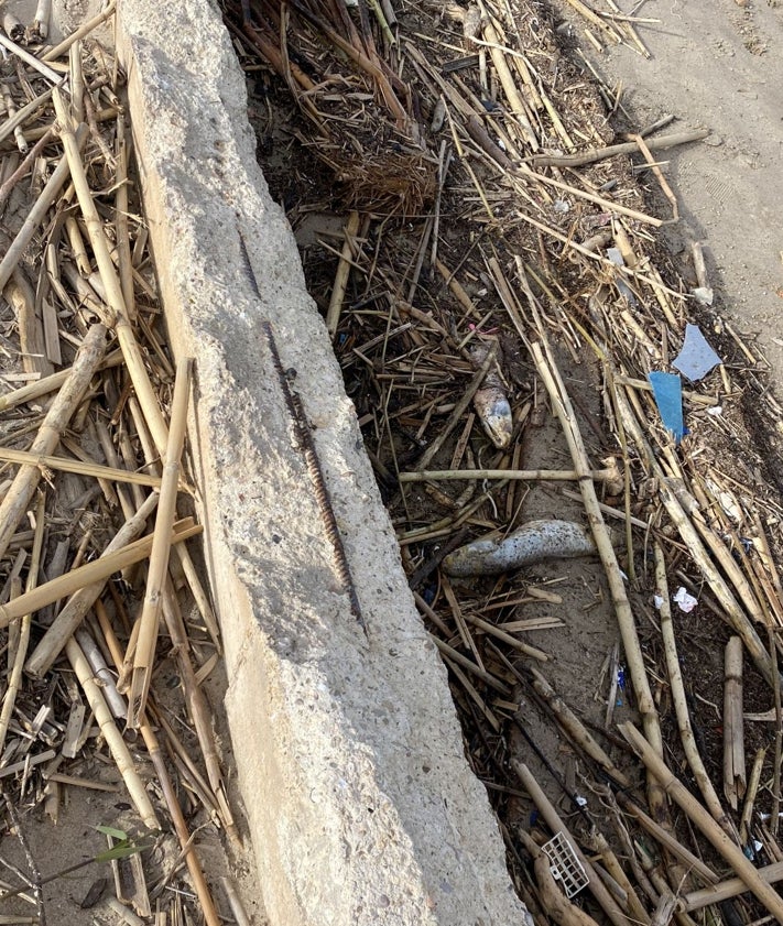 Imagen secundaria 2 - Playa de El Perellonet con troncos de árbol, vigas de casa y peces muertos.